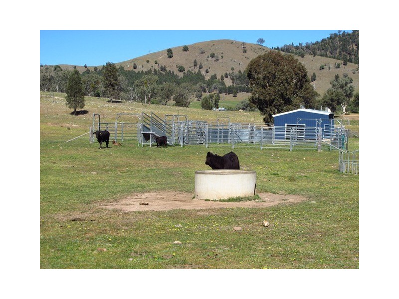 2753 Yarrabin Road, Mudgee NSW 2850