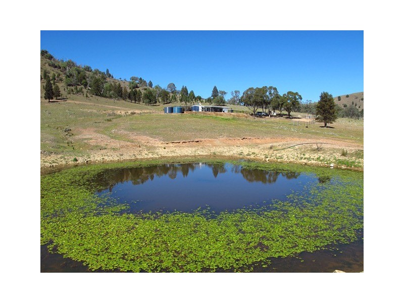 2753 Yarrabin Road, Mudgee NSW 2850