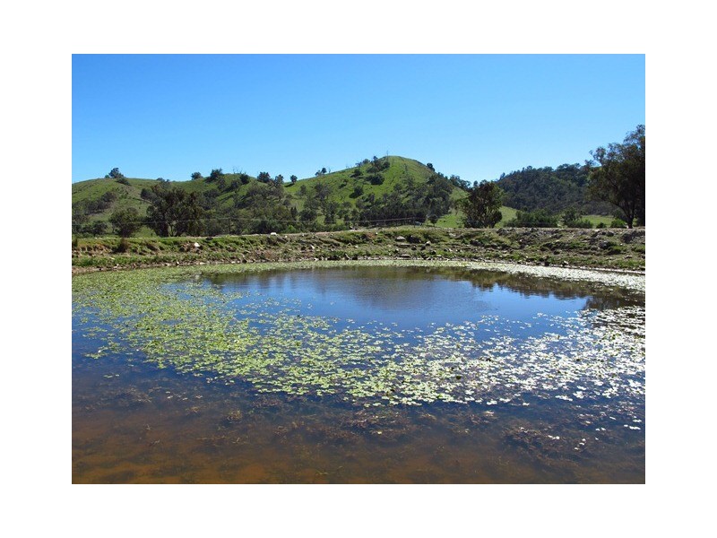 2753 Yarrabin Road, Mudgee NSW 2850