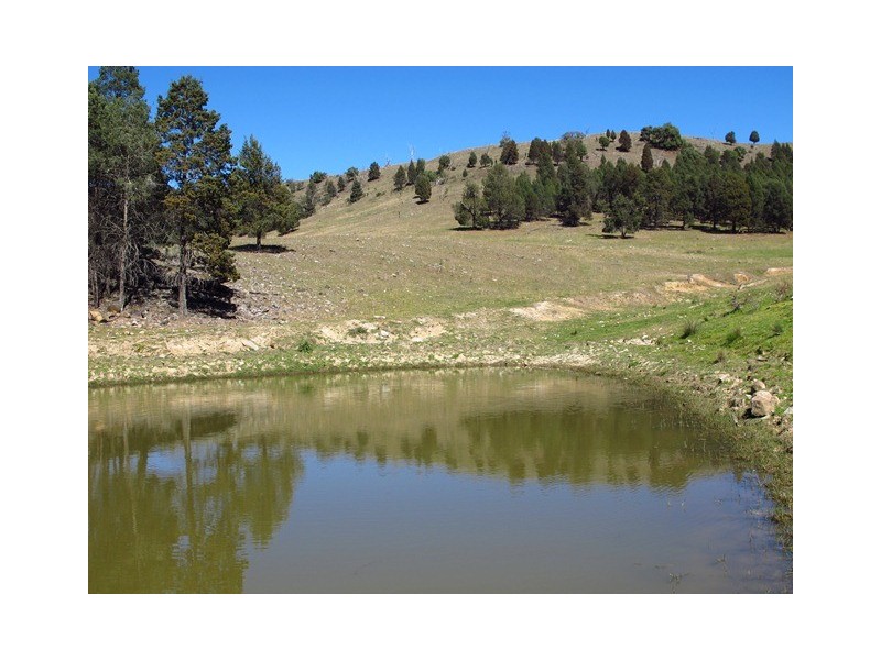 2753 Yarrabin Road, Mudgee NSW 2850