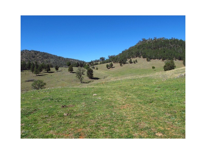 2753 Yarrabin Road, Mudgee NSW 2850