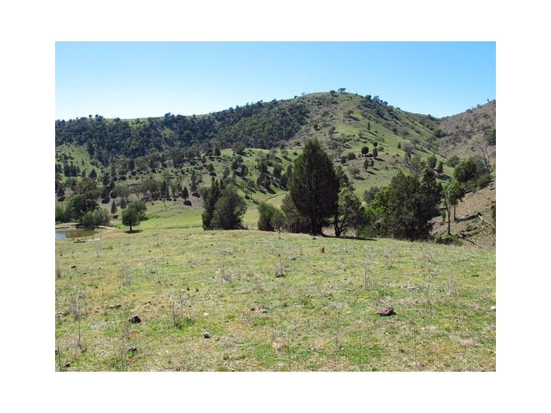 2753 Yarrabin Road, Mudgee NSW 2850