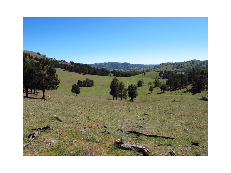 2753 Yarrabin Road, Mudgee NSW 2850