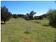 2753 Yarrabin Road, Mudgee NSW 2850