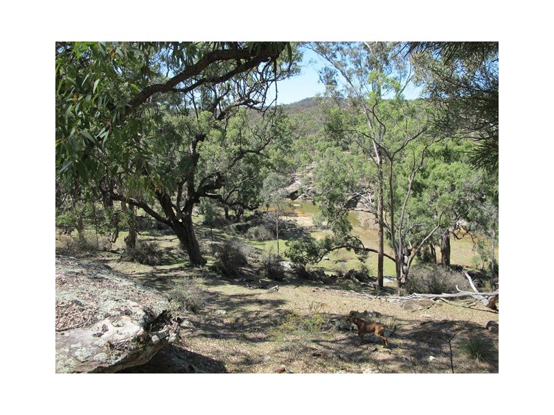 512 Durridgerie Road, Mudgee NSW 2850