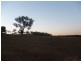 512 Durridgerie Road, Mudgee NSW 2850