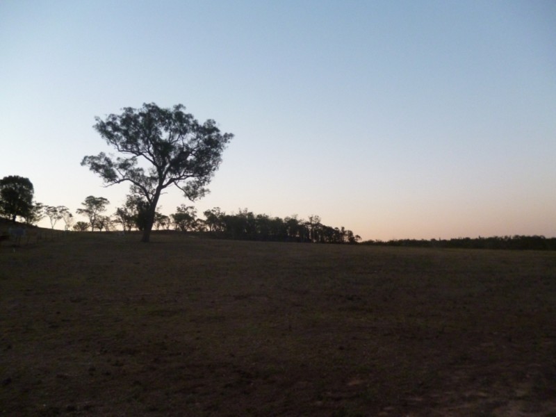 512 Durridgerie Road, Mudgee NSW 2850
