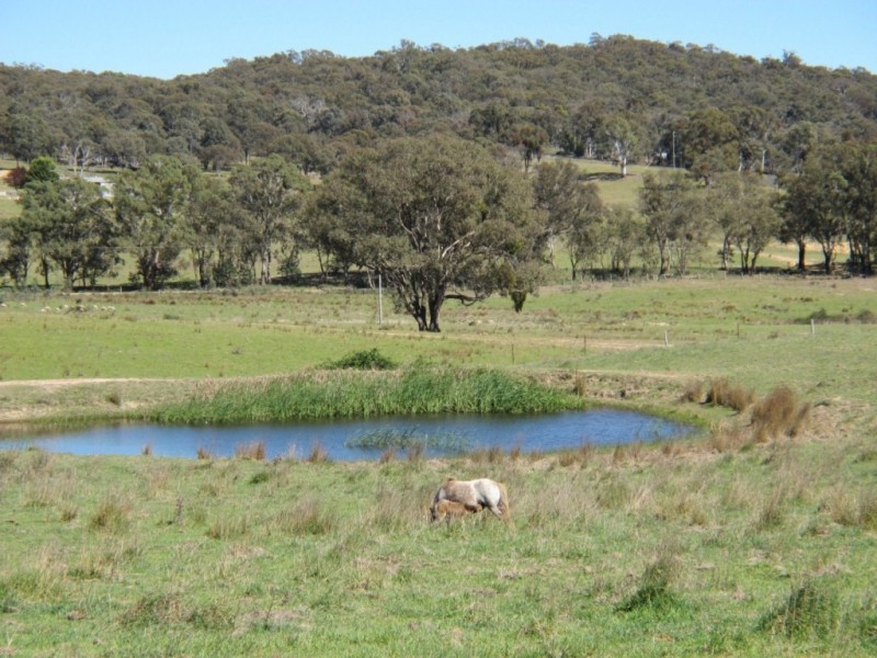 241 Triamble Road, Mudgee NSW 2850