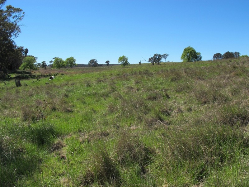 241 Triamble Road, Mudgee NSW 2850