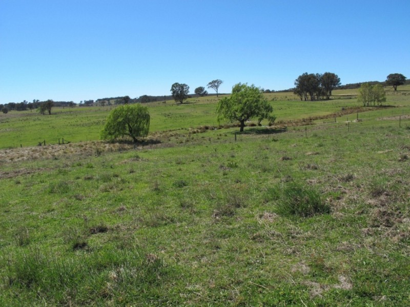 241 Triamble Road, Mudgee NSW 2850