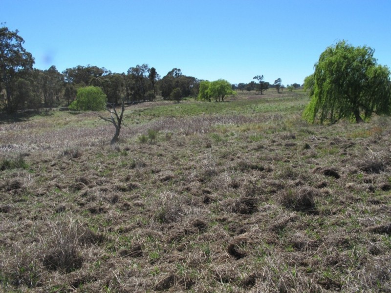 241 Triamble Road, Mudgee NSW 2850