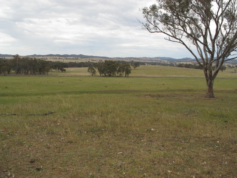 Lot 233 Wollar Road, Mudgee NSW 2850