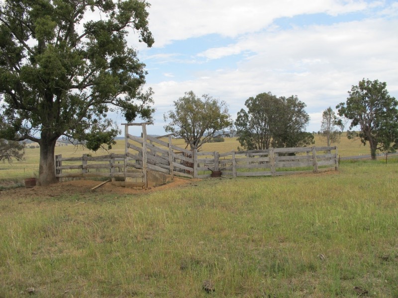 Lot 233 Wollar Road, Mudgee NSW 2850