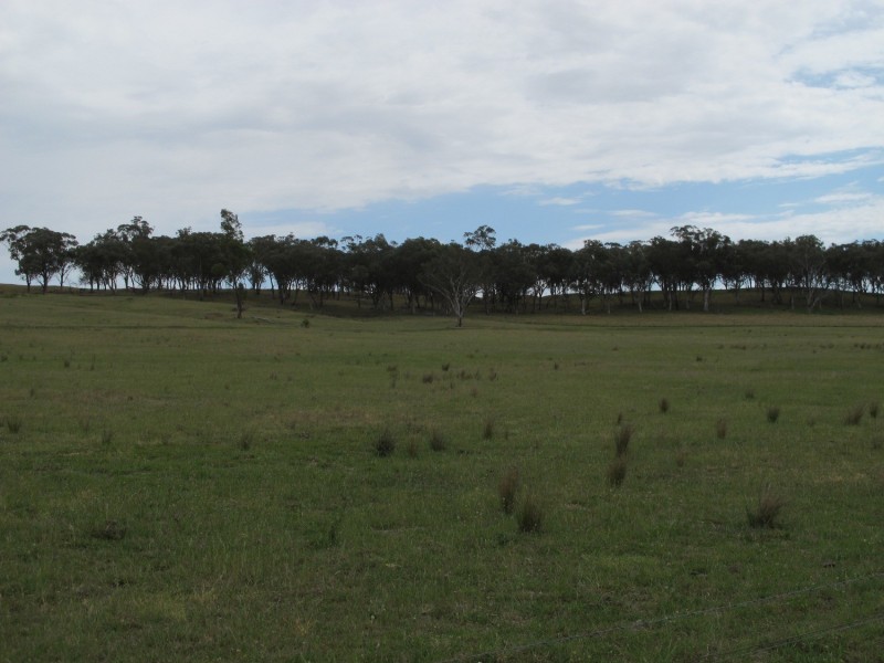 Lot 233 Wollar Road, Mudgee NSW 2850