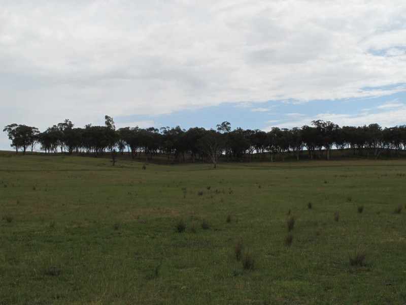 Lot 233 Wollar Road, Mudgee NSW 2850