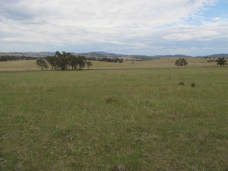 Lot 233 Wollar Road, Mudgee NSW 2850