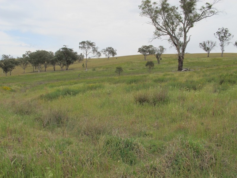Lot 233 Wollar Road, Mudgee NSW 2850