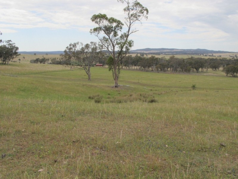 Lot 233 Wollar Road, Mudgee NSW 2850