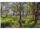 81 King Johns Lane, Mudgee NSW 2850