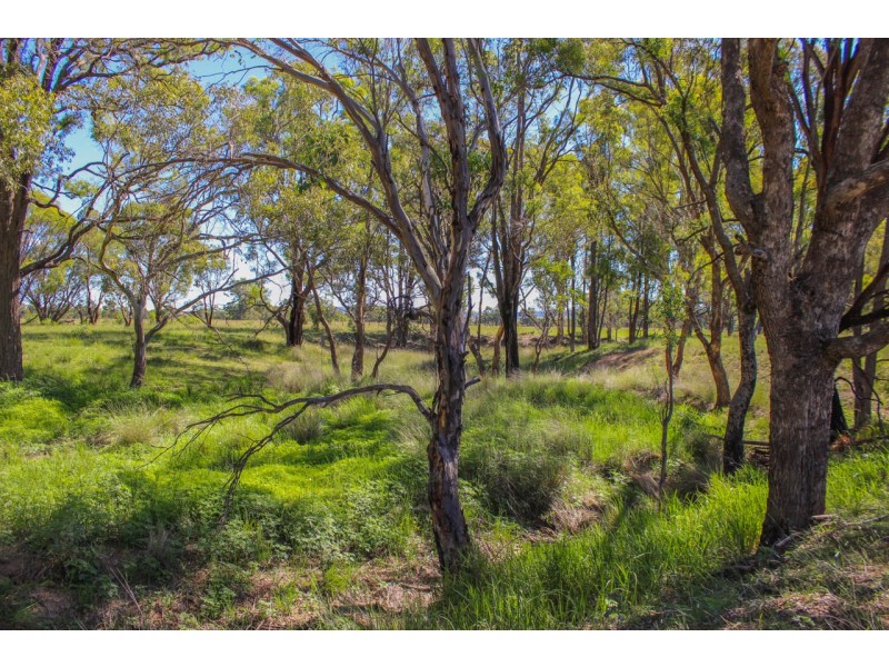81 King Johns Lane, Mudgee NSW 2850