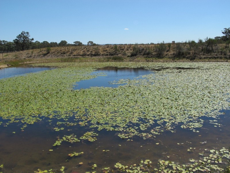 41 King Johns Lane, Mudgee NSW 2850