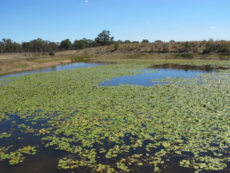 41 King Johns Lane, Mudgee NSW 2850