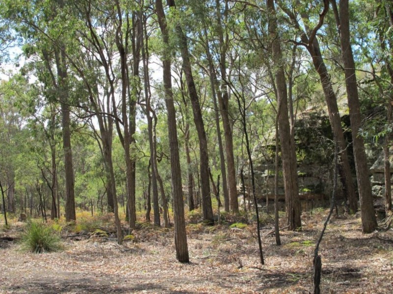 255 MacArthur Park Road, Mudgee NSW 2850