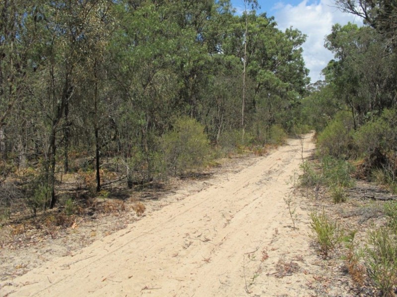 255 MacArthur Park Road, Mudgee NSW 2850