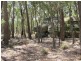 255 MacArthur Park Road, Mudgee NSW 2850