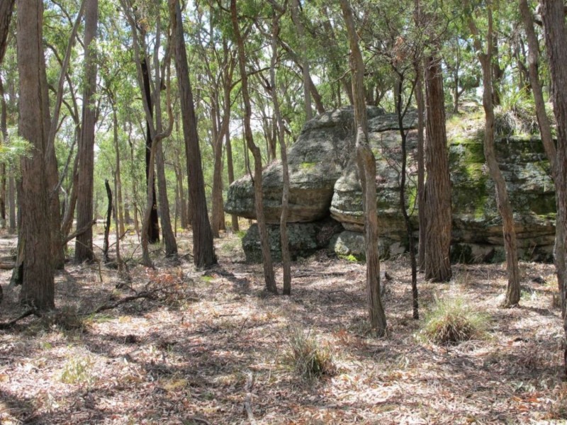 255 MacArthur Park Road, Mudgee NSW 2850