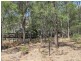 255 MacArthur Park Road, Mudgee NSW 2850