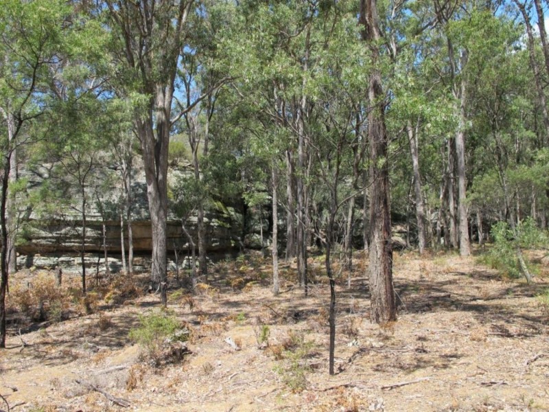 255 MacArthur Park Road, Mudgee NSW 2850