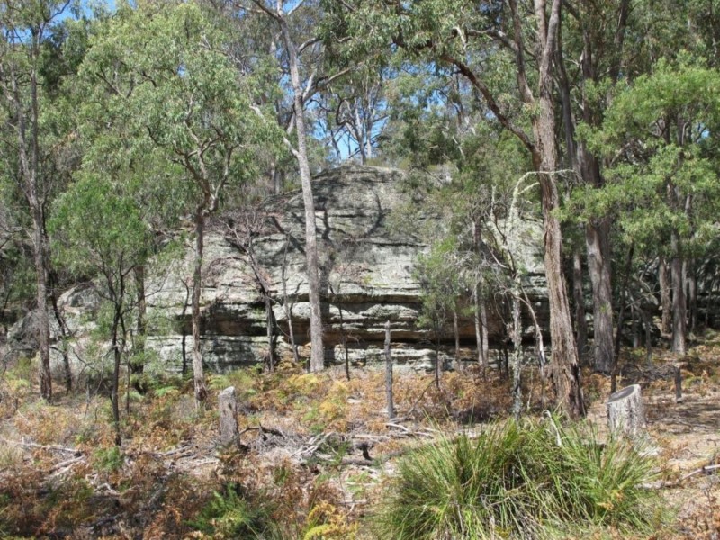 255 MacArthur Park Road, Mudgee NSW 2850