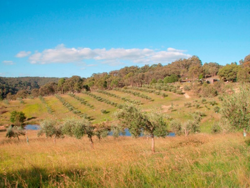 1944 Campbells Creek Road, Mudgee NSW 2850