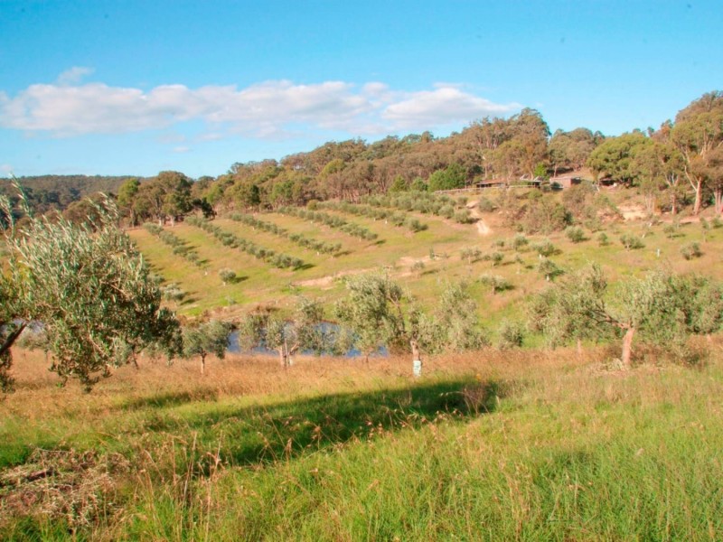 1944 Campbells Creek Road, Mudgee NSW 2850