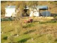 1944 Campbells Creek Road, Mudgee NSW 2850