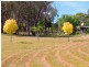 1944 Campbells Creek Road, Mudgee NSW 2850