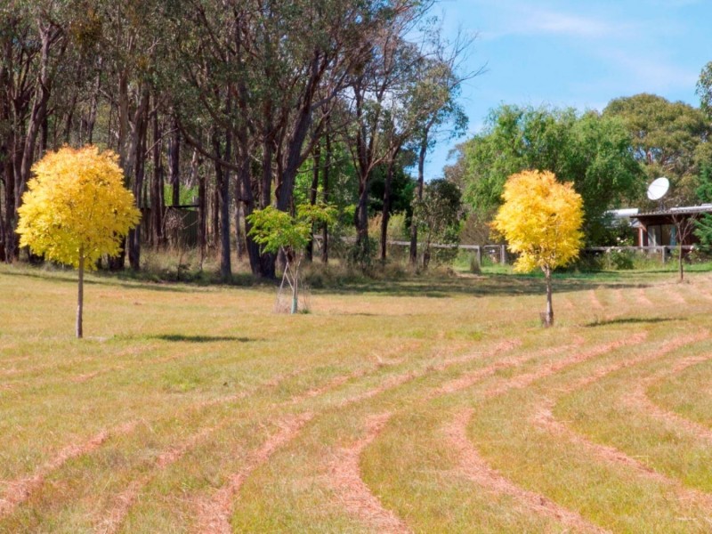 1944 Campbells Creek Road, Mudgee NSW 2850