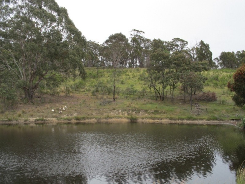 1424 Bocoble Road, Mudgee NSW 2850