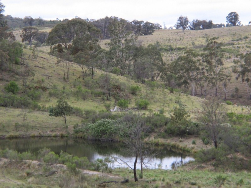1424 Bocoble Road, Mudgee NSW 2850