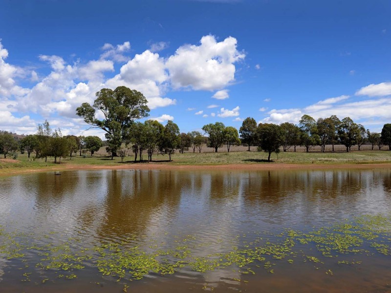 23 Lower Piambong Road, Mudgee NSW 2850