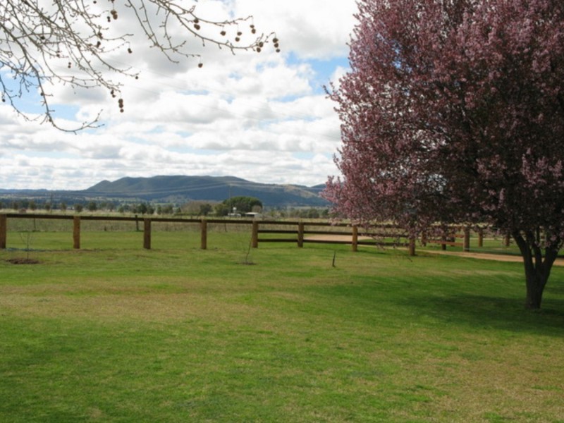 “Broadview Estate” Broadhead Road, Mudgee NSW 2850