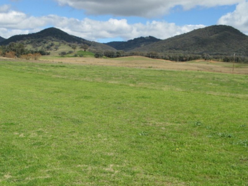 “Broadview Estate” Broadhead Road, Mudgee NSW 2850