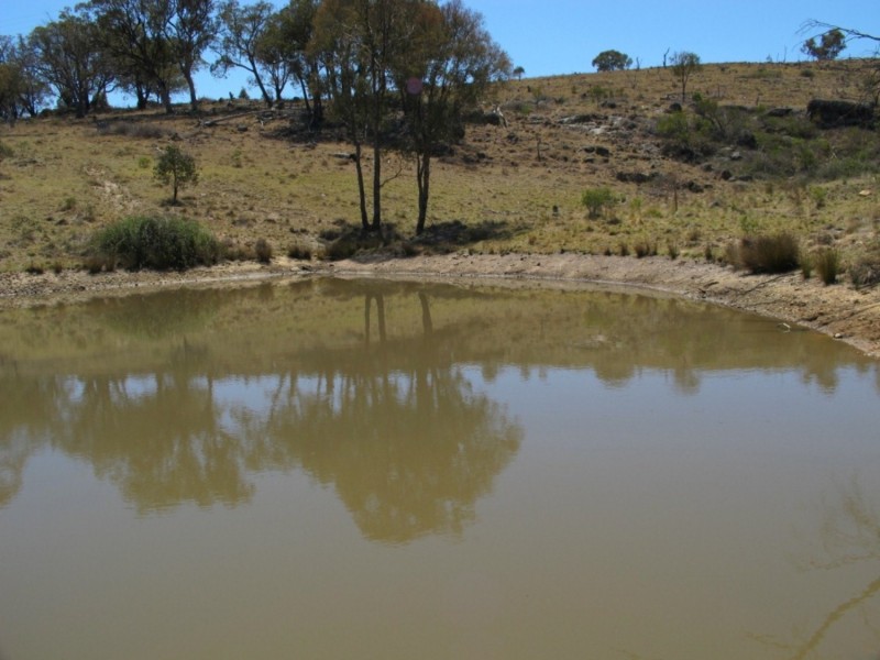 222 Pyramul Road, Mudgee NSW 2850