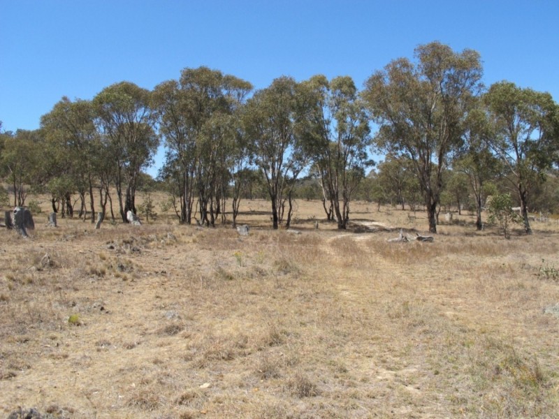 222 Pyramul Road, Mudgee NSW 2850