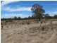 100 Triamble Road, Mudgee NSW 2850