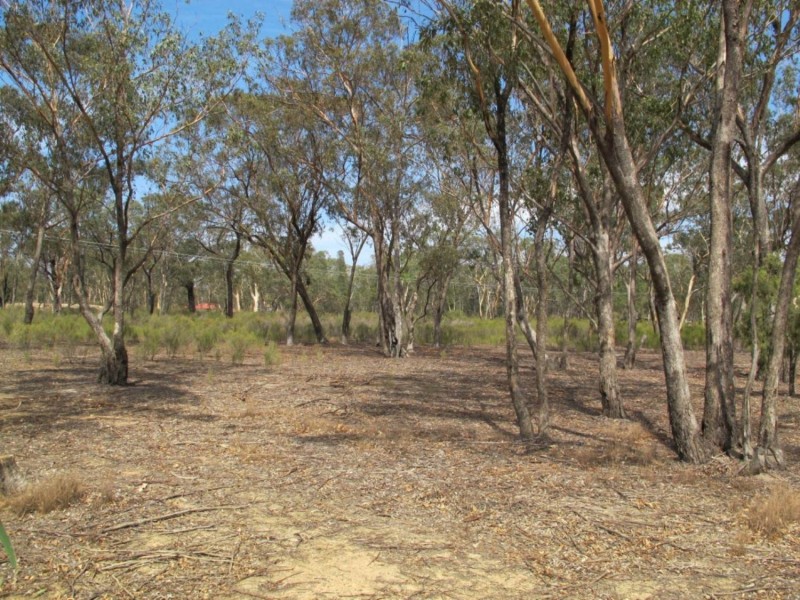 141 Maiala Road, Mudgee NSW 2850