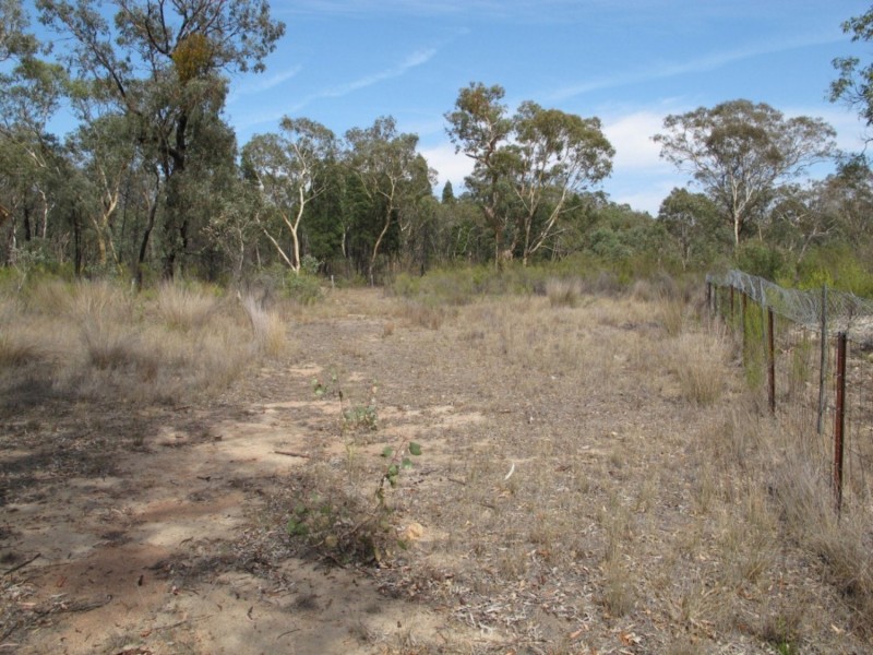 141 Maiala Road, Mudgee NSW 2850