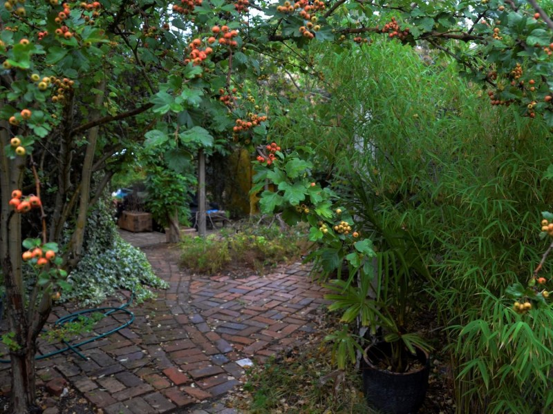 2819 Lue Road, Mudgee NSW 2850