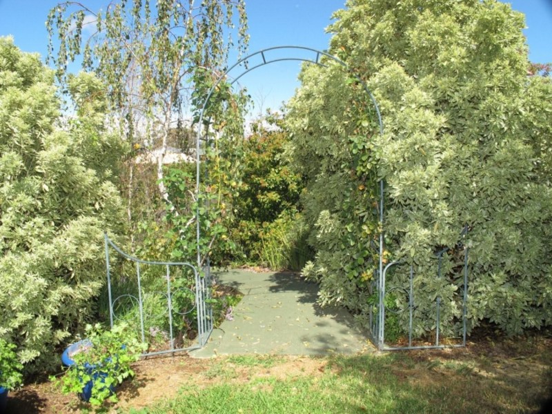 11 Miller Crescent, Mudgee NSW 2850